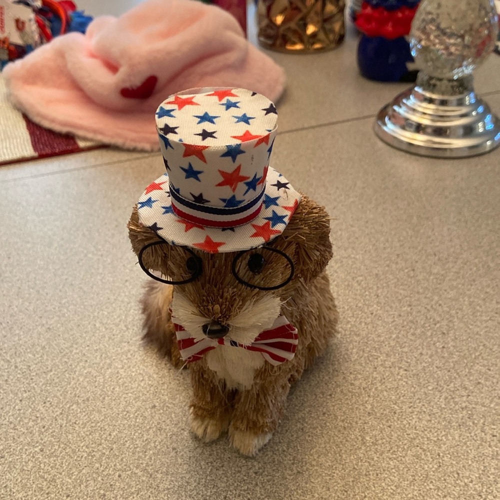 Fourth of July dog